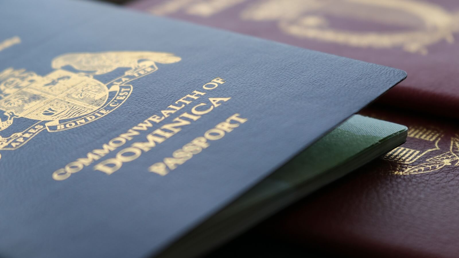 Process of Obtaining Dominican Citizenship